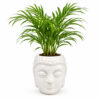 RG0001-a Return gift Sets at Rs 175/- each | 25 sets of Table Palms in Ceramic Face designed planter