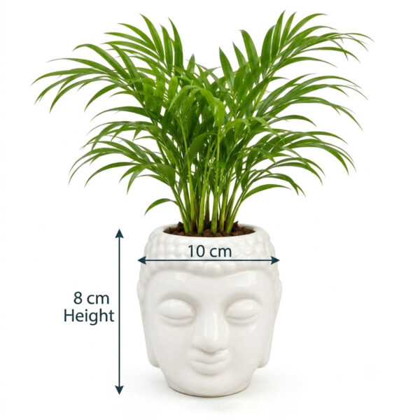RG0001-b Return gift Sets at Rs 175/- each | 25 sets of Table Palms in Ceramic Face designed planter