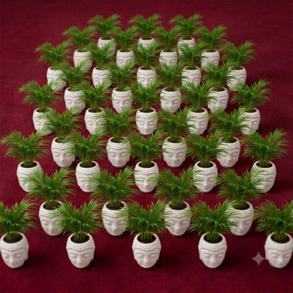 RG0001-c Return gift Sets at Rs 175/- each | 25 sets of Table Palms in Ceramic Face designed planter