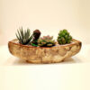 Miniature Garden | Meditating Monk in a Garden | Open Terrarium | Succulent Show-piece
