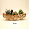 Miniature Garden | Meditating Monk in a Garden | Open Terrarium | Succulent Show-piece