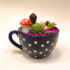 Miniature Garden | Meditating Monk in a Cup Garden | Open Terrarium | Succulent Show-piece