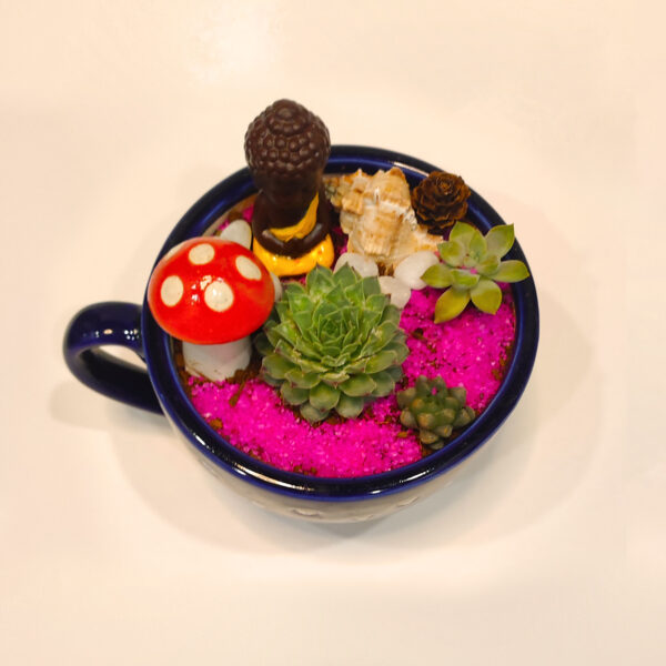 Miniature Garden | Meditating Monk in a Cup Garden | Open Terrarium | Succulent Show-piece
