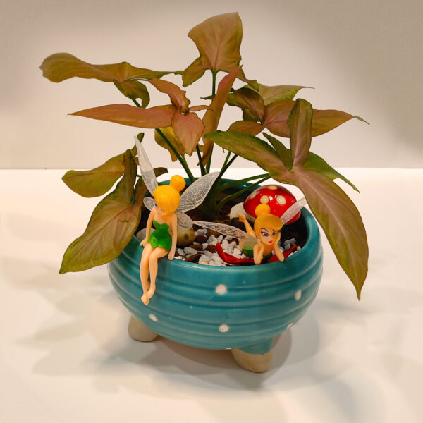 Miniature Garden | Fairies in a Cup Garden | Open Terrarium | Succulent Show-piece