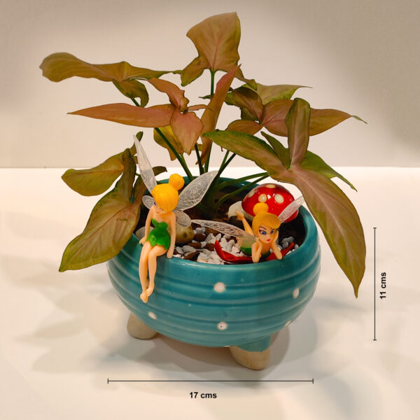 Miniature Garden | Fairies in a Cup Garden | Open Terrarium | Succulent Show-piece