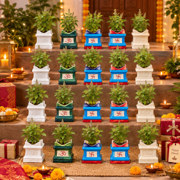 Return gift Sets at Rs 175/- each | 25 sets of Tulsi (Ocimum sanctum) in small Brindavan shaped ceramic Pot