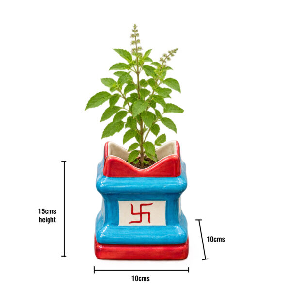 Return gift Sets at Rs 175/- each | 25 sets of Tulsi (Ocimum sanctum) in small Brindavan shaped ceramic Pot